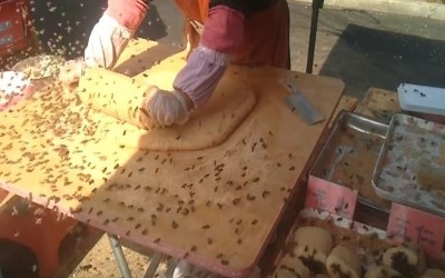 這個攤販賣的蜂蜜麻糬製作流程好新鮮，看完就能證明沒添加任何人工化學物