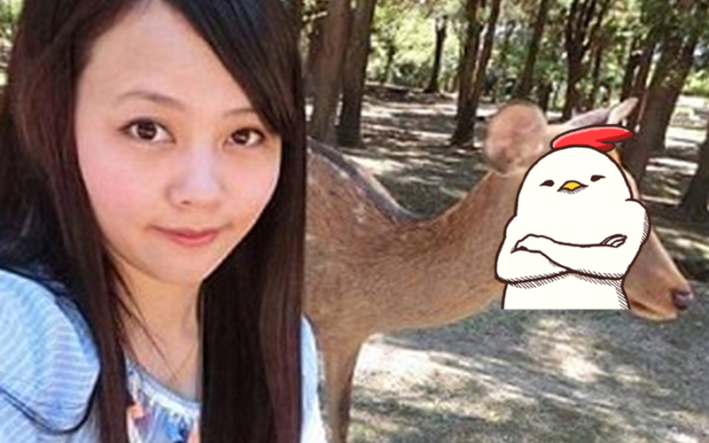 她‎開心到日本奈良旅遊想和奈良鹿來張合照，結果鹿鹿竟然一臉嫌棄...網友：沒餅乾還想拍？